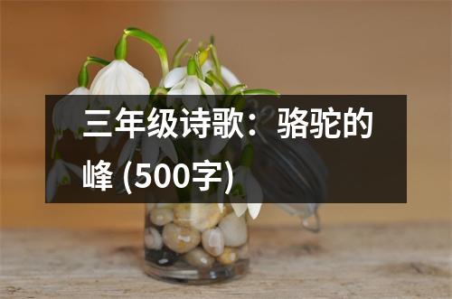 三年級(jí)詩(shī)歌：駱駝的峰 (500字)