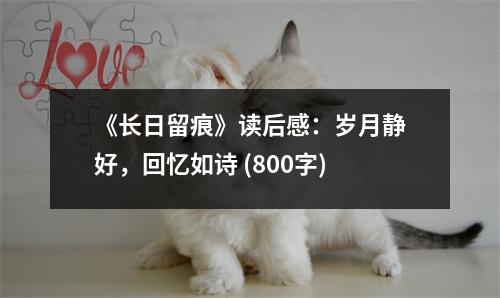 《長日留痕》讀后感：歲月靜好，回憶如詩 (800字)
