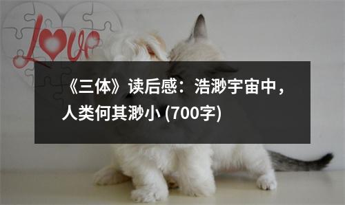《三體》讀后感：浩渺宇宙中，人類何其渺小 (700字)