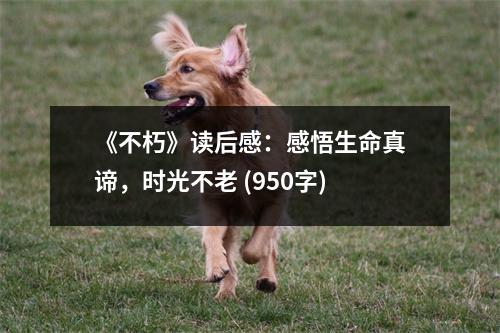 《不朽》讀后感：感悟生命真諦，時光不老 (950字)