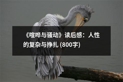 《喧嘩與騷動》讀后感：人性的復(fù)雜與掙扎 (800字)