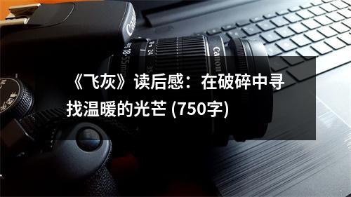 《飛灰》讀后感：在破碎中尋找溫暖的光芒 (750字)