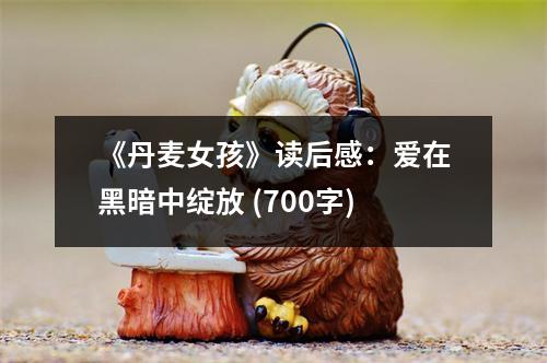 《丹麥女孩》讀后感：愛在黑暗中綻放 (700字)