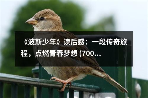 《波斯少年》讀后感：一段傳奇旅程，點燃青春夢想 (700字)