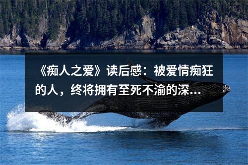 《癡人之愛》讀后感：被愛情癡狂的人，終將擁有至死不渝的深情 (650字)