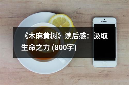 《木麻黃樹》讀后感：汲取生命之力 (800字)