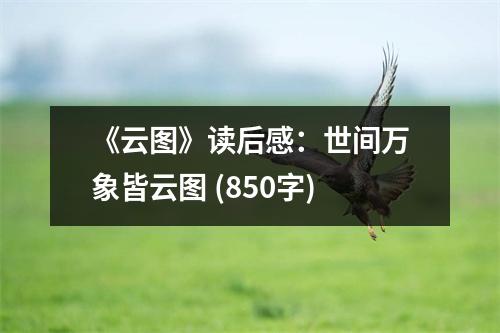 《云圖》讀后感：世間萬象皆云圖 (850字)