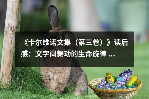 《卡爾維諾文集（第三卷）》讀后感：文字間舞動(dòng)的生命旋律 (800字)