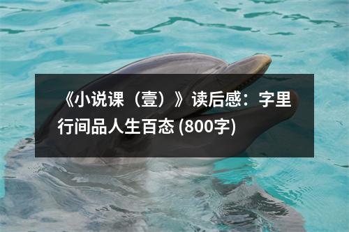 《小說課（壹）》讀后感：字里行間品人生百態(tài) (800字)