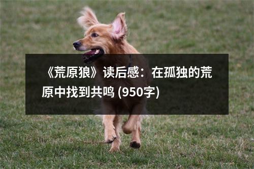 《荒原狼》讀后感：在孤獨的荒原中找到共鳴 (950字)