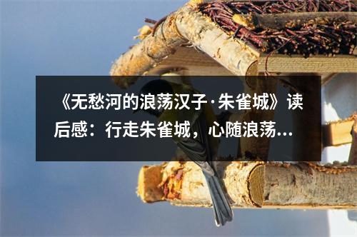 《無愁河的浪蕩漢子·朱雀城》讀后感：行走朱雀城，心隨浪蕩夢 (850字)