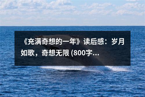 《充滿奇想的一年》讀后感：歲月如歌，奇想無限 (800字)