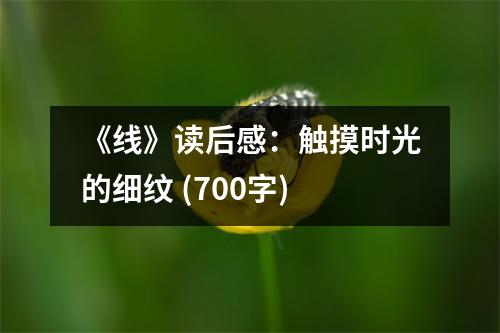 《線》讀后感：觸摸時光的細(xì)紋 (700字)