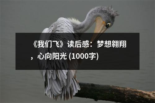 《我們飛》讀后感：夢想翱翔，心向陽光 (1000字)