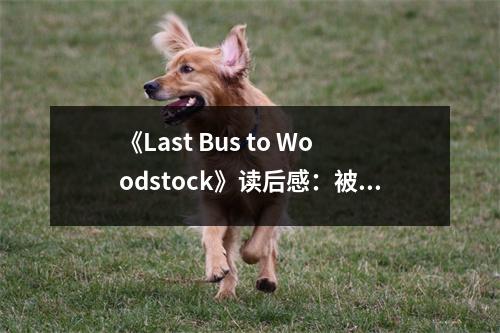 《Last Bus to Woodstock》讀后感：被青春溫柔擁抱 (750字)