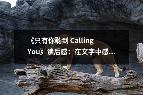 《只有你聽到 Calling You》讀后感：在文字中感受靈魂的低語(yǔ) (750字)