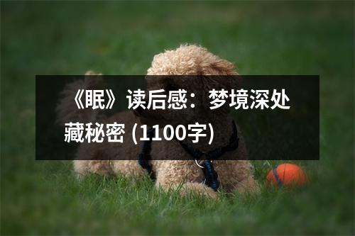 《眠》讀后感：夢境深處藏秘密 (1100字)