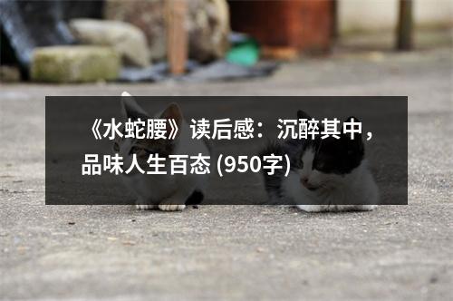 《水蛇腰》讀后感：沉醉其中，品味人生百態(tài) (950字)