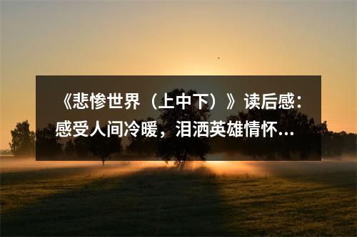 《悲慘世界（上中下）》讀后感：感受人間冷暖，淚灑英雄情懷 (1300字)