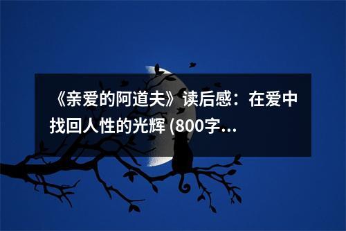 《親愛的阿道夫》讀后感：在愛中找回人性的光輝 (800字)