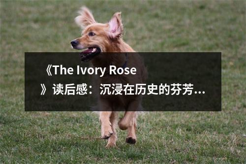 《The Ivory Rose》讀后感：沉浸在歷史的芬芳之中 (800字)