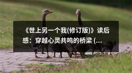 《世上另一個我(修訂版)》讀后感：穿越心靈共鳴的橋梁 (800字)