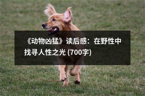 《動(dòng)物兇猛》讀后感：在野性中找尋人性之光 (700字)