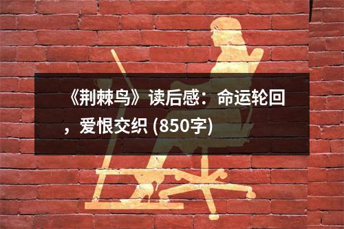 《荊棘鳥》讀后感：命運(yùn)輪回，愛恨交織 (850字)