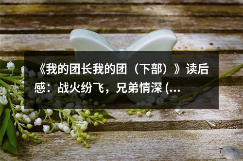 《我的團長我的團（下部）》讀后感：戰(zhàn)火紛飛，兄弟情深 (700字)