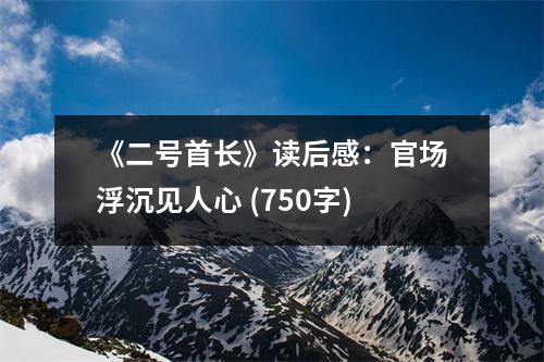 《二號首長》讀后感：官場浮沉見人心 (750字)