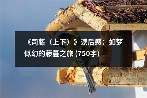 《司藤（上下）》讀后感：如夢似幻的藤蔓之旅 (750字)