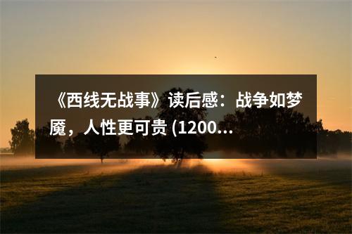 《西線無戰(zhàn)事》讀后感：戰(zhàn)爭如夢魘，人性更可貴 (1200字)