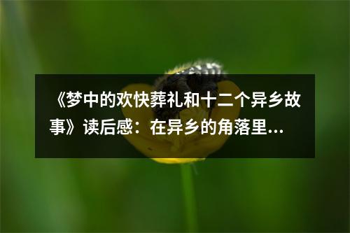 《夢(mèng)中的歡快葬禮和十二個(gè)異鄉(xiāng)故事》讀后感：在異鄉(xiāng)的角落里感受生命的溫度 (1050字)