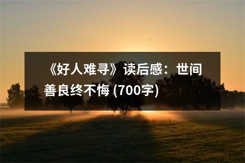《好人難尋》讀后感：世間善良終不悔 (700字)