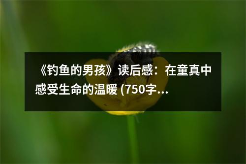 《釣魚的男孩》讀后感：在童真中感受生命的溫暖 (750字)