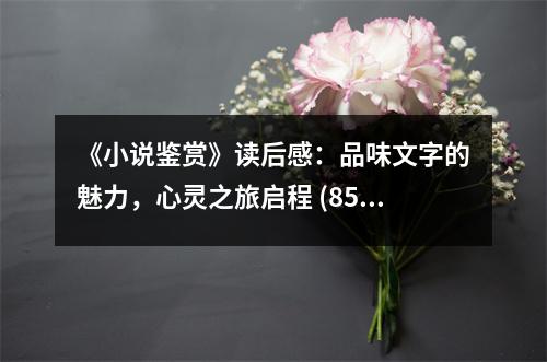 《小說鑒賞》讀后感：品味文字的魅力，心靈之旅啟程 (850字)