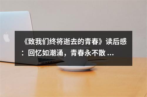 《致我們終將逝去的青春》讀后感：回憶如潮涌，青春永不散 (700字)