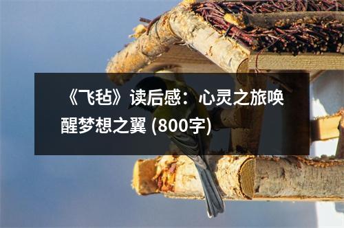 《飛氈》讀后感：心靈之旅喚醒夢想之翼 (800字)