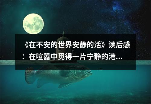 《在不安的世界安靜的活》讀后感：在喧囂中覓得一片寧靜的港灣 (750字)