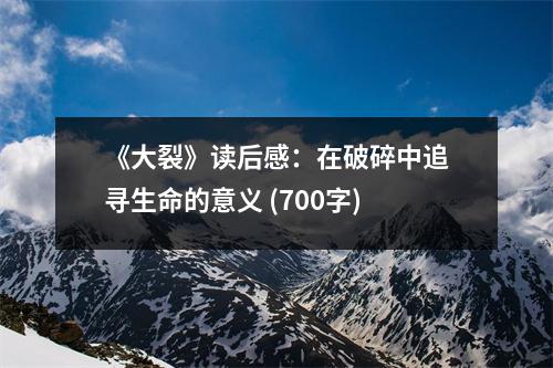 《大裂》讀后感：在破碎中追尋生命的意義 (700字)