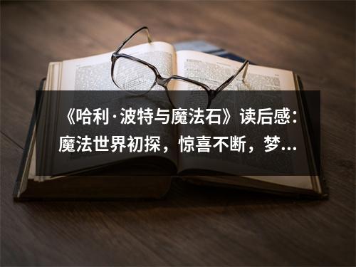 《哈利·波特與魔法石》讀后感：魔法世界初探，驚喜不斷，夢回青澀歲月 (800字)