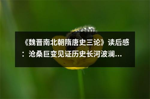 《魏晉南北朝隋唐史三論》讀后感：滄桑巨變見證歷史長河波瀾壯闊 (900字)