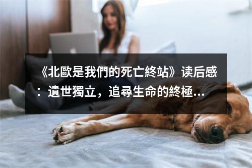 《北歐是我們的死亡終站》讀后感：遺世獨立，追尋生命的終極美 (800字)