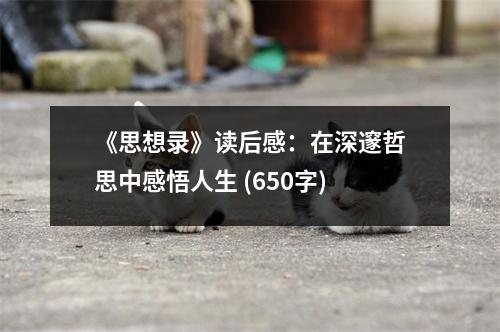 《思想錄》讀后感：在深邃哲思中感悟人生 (650字)