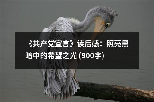 《共產(chǎn)黨宣言》讀后感：照亮黑暗中的希望之光 (900字)