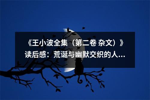 《王小波全集（第二卷 雜文）》讀后感：荒誕與幽默交織的人生畫卷 (700字)