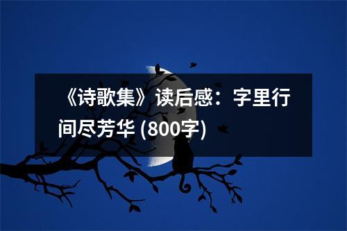 《詩(shī)歌集》讀后感：字里行間盡芳華 (800字)