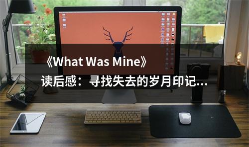 《What Was Mine》讀后感：尋找失去的歲月印記 (700字)