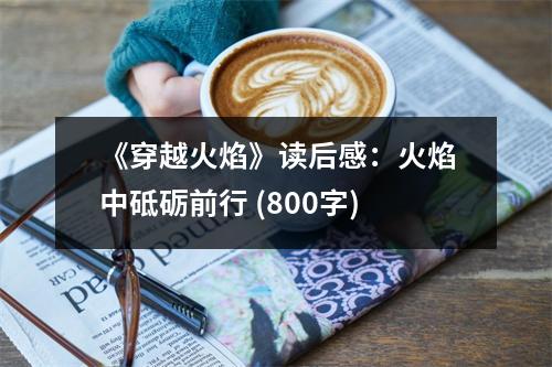 《穿越火焰》讀后感：火焰中砥礪前行 (800字)