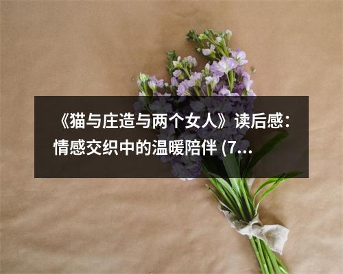 《貓與莊造與兩個(gè)女人》讀后感：情感交織中的溫暖陪伴 (700字)